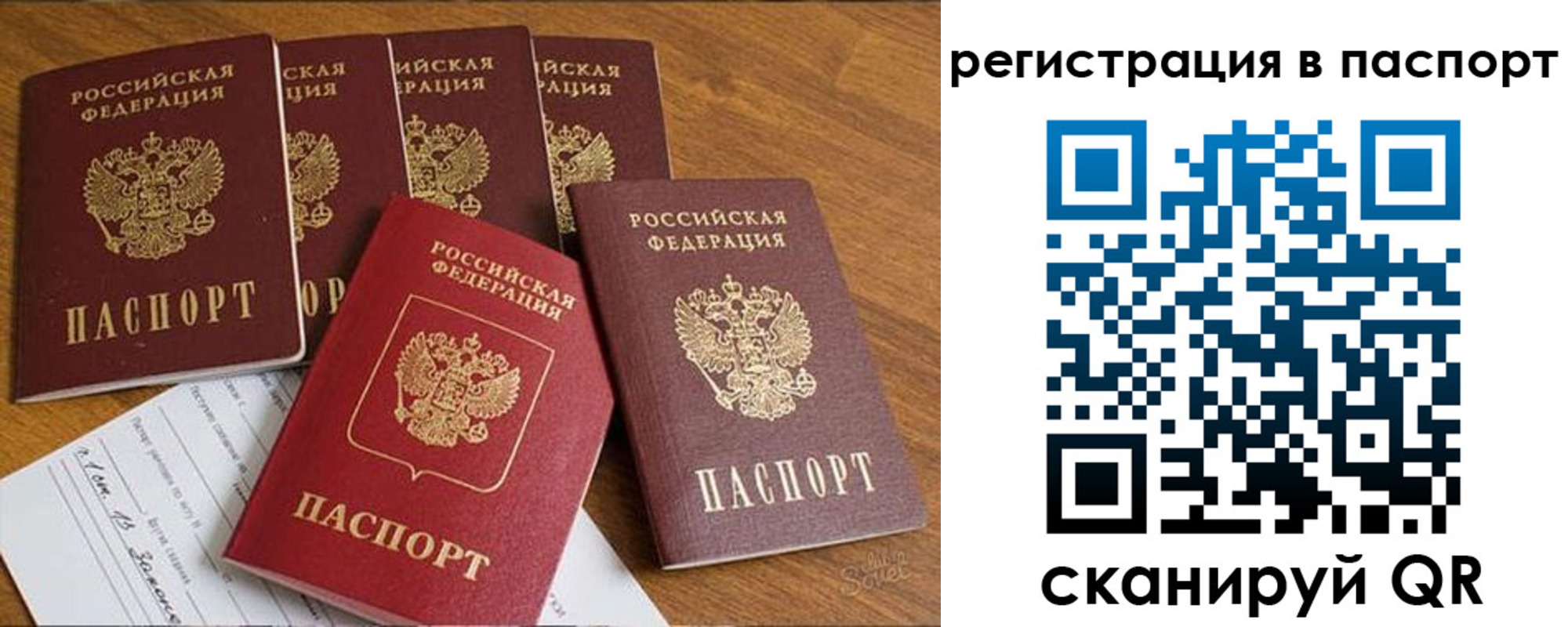 прописка для работы в Бабаево